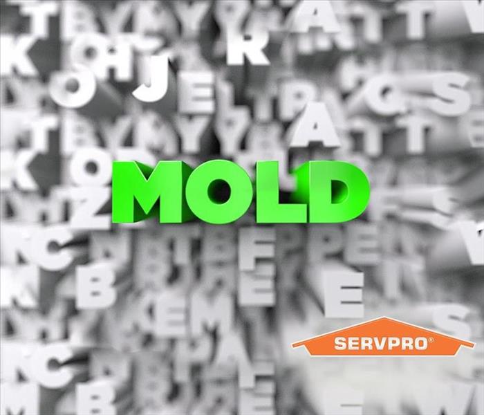 Green letters that stand out and spell SERVPRO